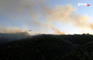 Πυρκαγιά σε δασική έκταση στην περιοχή Κεραστάρη Βαλτετσίου - Δείτε την κατάσβεση από τα εναέρια μέσα που την έθεσαν υπο έλεγχο (vid)