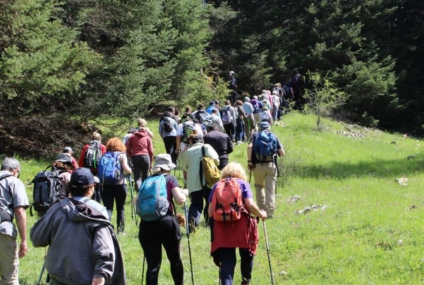 Επόμενη Εξόρμηση ΣΑΟΟ: Κυριακή 12 Φεβρουαρίου 2023 – Μαγγανιακό Ανδρομονάστηρο