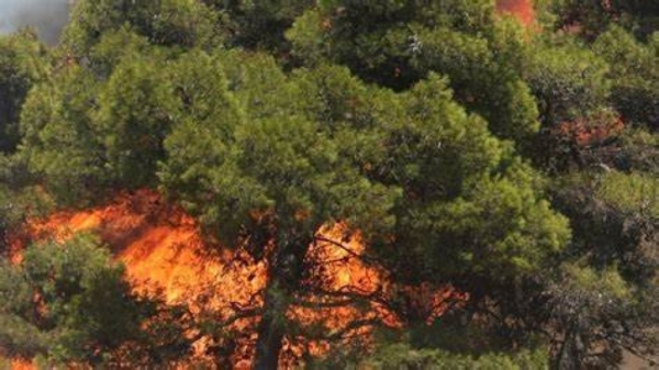 Φωτιά στο Μαίναλο (περιοχή Τσελεπάκου)