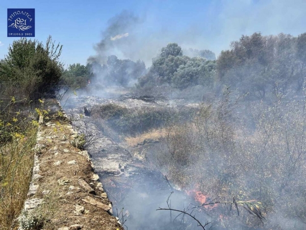 Φωτιά στην Μαγούλα Αρκαδίας