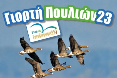 Φθινοπωρινή μετανάστευση των πουλιών στη λιμνοθάλασσα Μουστού