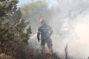 Πυρκαγιά σε αγροτοδασική έκταση στην Αγία Σοφία Αρκαδίας