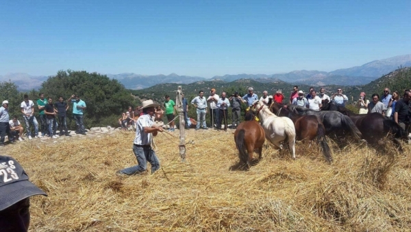 Mε πρόστιμο 50.000 ευρώ απειλείται ο Δήμος Γορτυνίας για το Αλώνισμα στο Βαλτεσινίκο