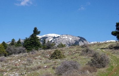 ΣΑΟΟ | Επόμενη εξόρμηση στον Νότιο Πάρνωνα