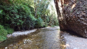 River trekking στο φαράγγι του Αντρωνίου με τον ΕΟΣ Τρίπολης