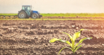 Ημερίδα για «Τοπική γεωργική παραγωγή - προβλήματα και προοπτικές» από τον Δήμο Τρίπολης