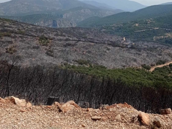 Η &quot;επόμενη ημέρα&quot; της φωτιάς στην Αγία Σοφία της Βόρειας Κυνουρίας